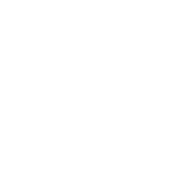 YouTube Premiumのイメージの画像