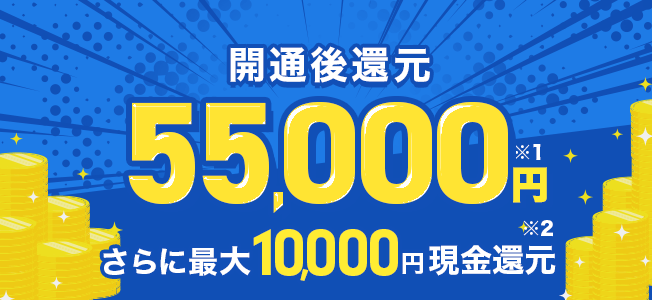 55,000円還元キャンペーン