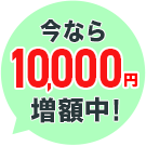 今なら2,000円増額中