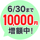 今なら2,000円増額中