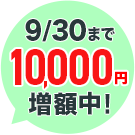 今なら10,000円増額中